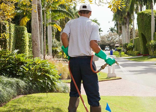 About Toccoa GA Pest Control Pros